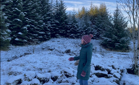 A person looking at woodland landscape of fir trees with snow on them, and snow on the ground.