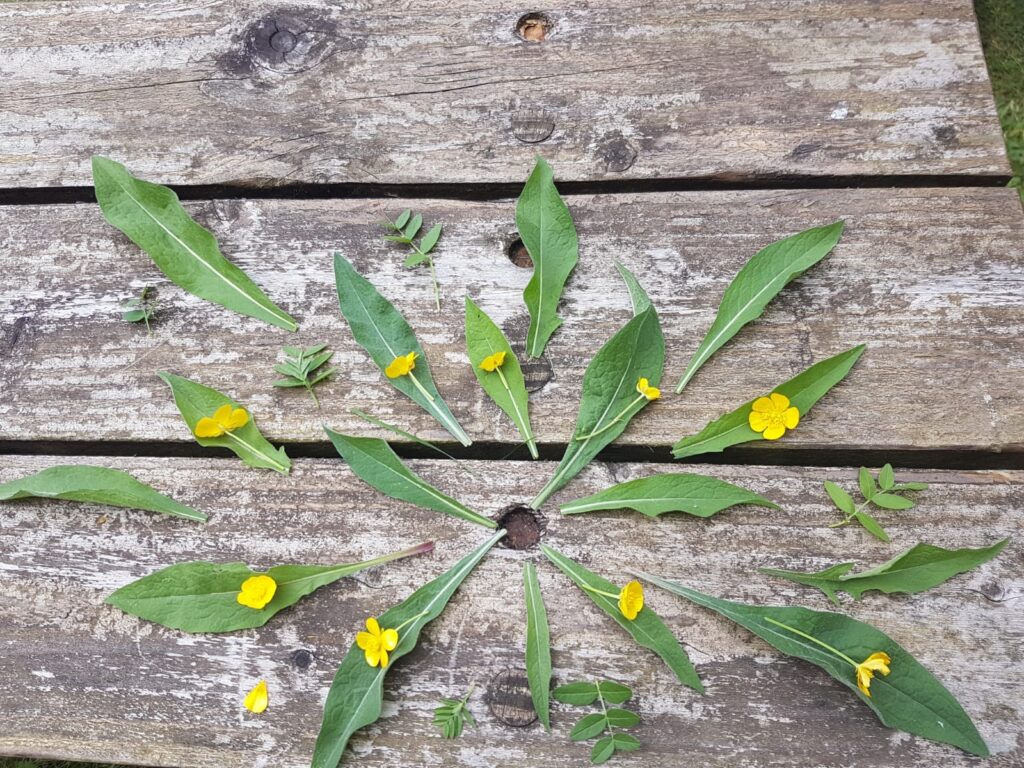 Sunburst pattern created with thin green leaves and buttercup flowers on top, laid out on a picnic bench. 